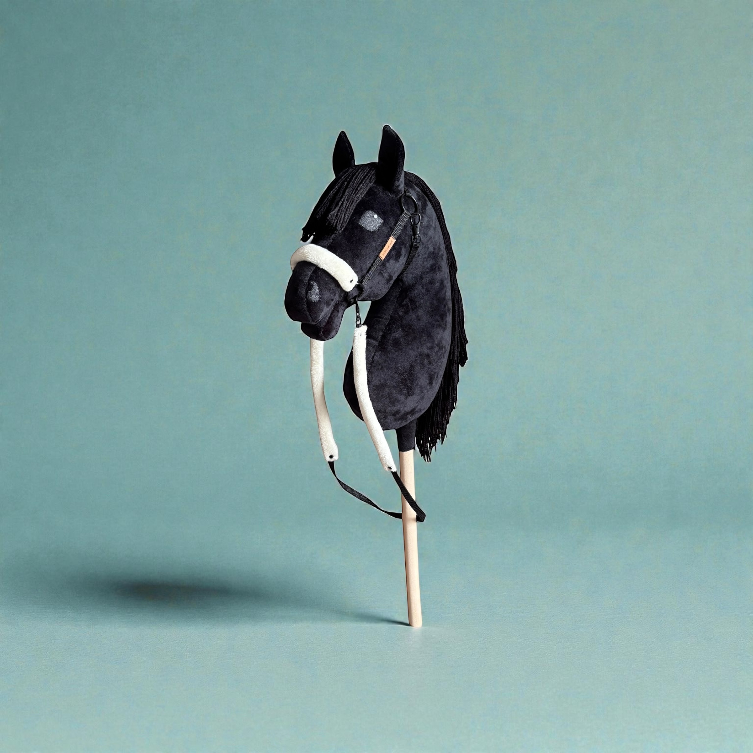 Hobby Horse A3 KARY
