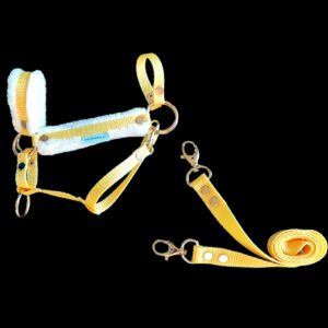 KANTAR DLA KONIKA HH A4 żółty