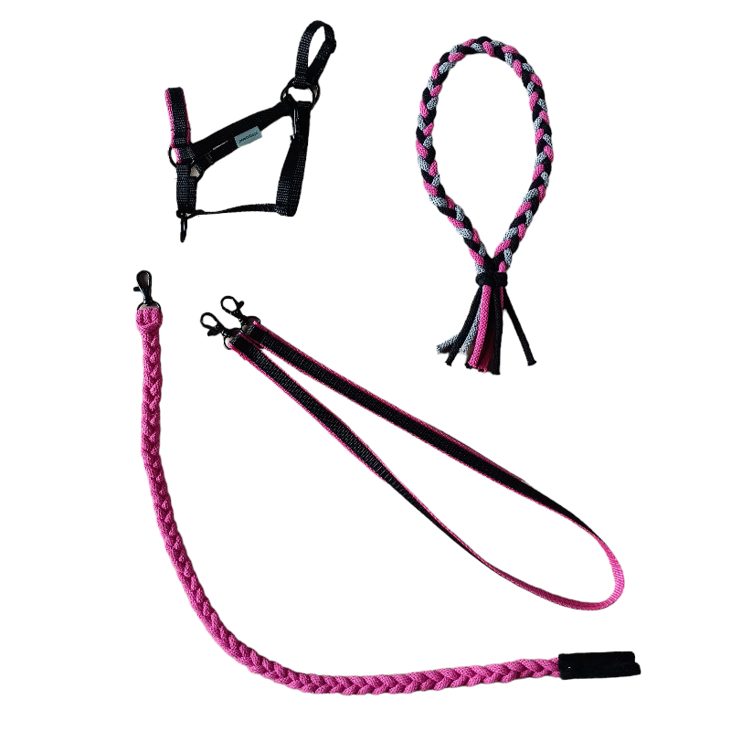 ZESTAW DLA KONIKA HH A4 AMARANT