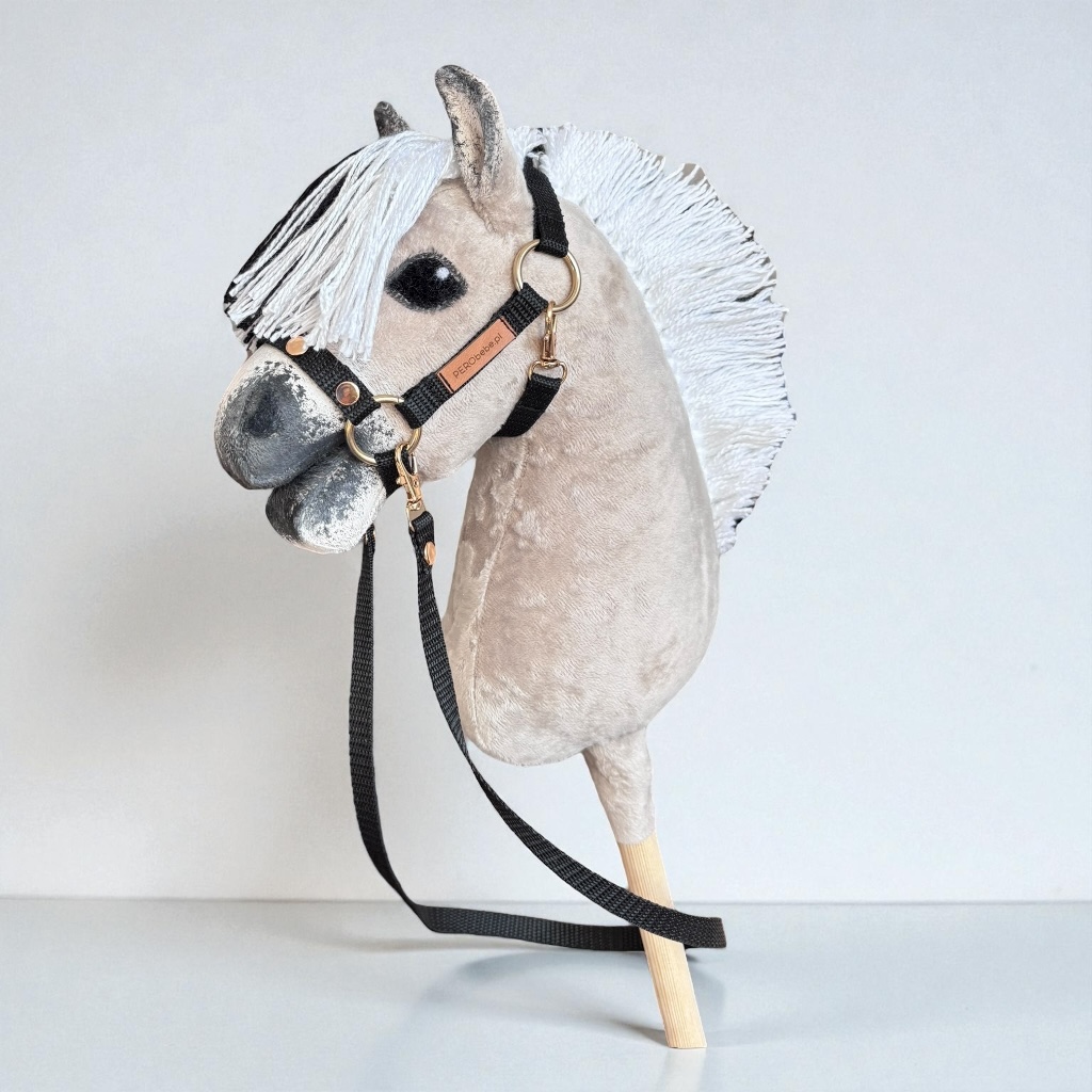 Konik Hobby Horse A5 Fiord