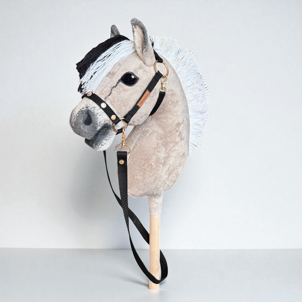 Hobby Horse mniejszy A4 FIORD