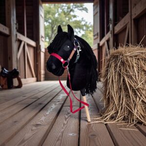 Konik Hobby Horse A5 KARY Z GWIAZDKĄ