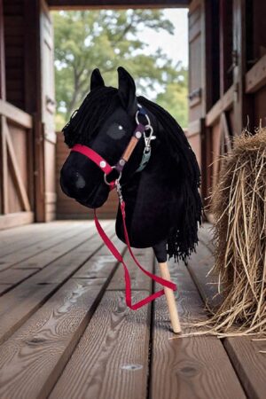 Konik Hobby Horse A5 KARY Z GWIAZDKĄ