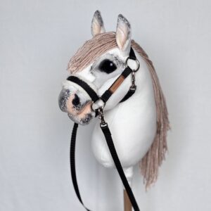 KONIK HH A5 –  szampan