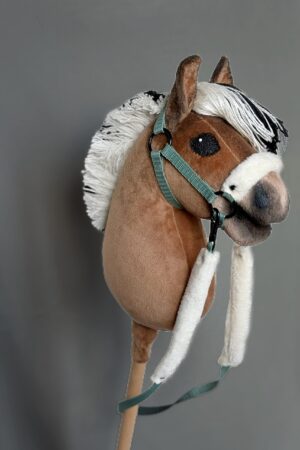 Konik Hobby Horse A5 FIORD