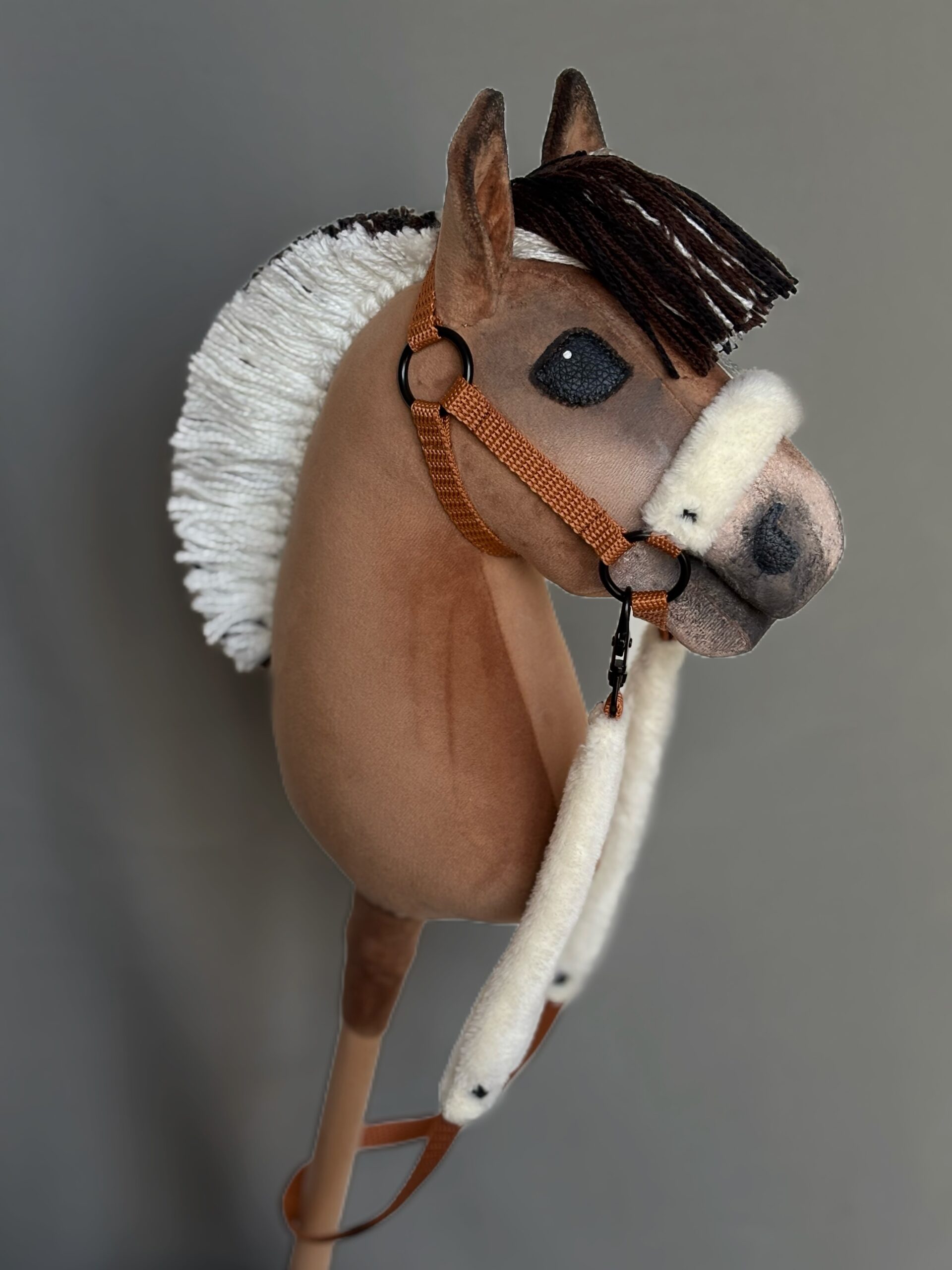 Konik Hobby Horse A5 FIORD